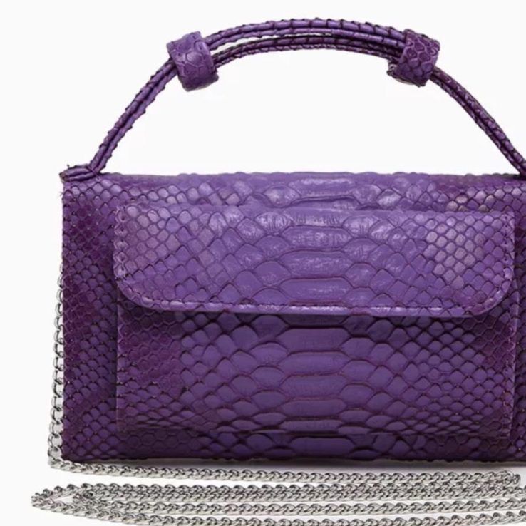 Brand Purse Luxury Mini Leather Bag